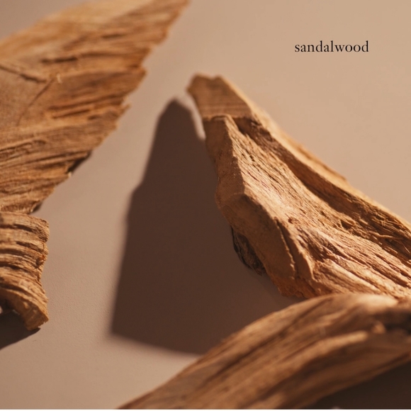 Philosophy Hula Girl Shampoo Shower Gel 32oz - Picture 7 of 8